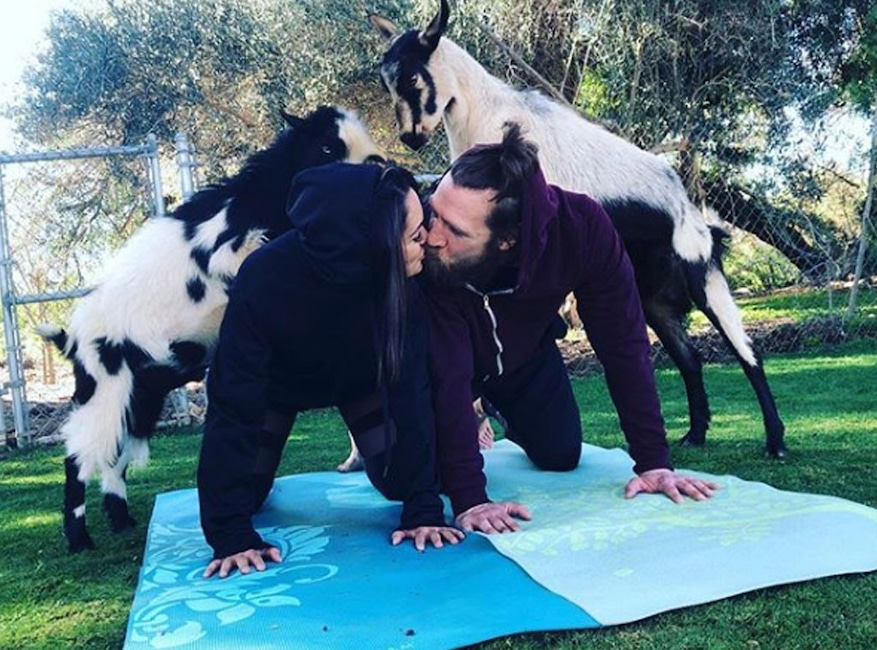 Brie Bella, Daniel Bryan